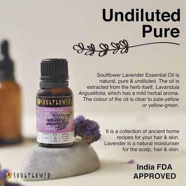 https://cdn.shopify.com/s/files/1/1857/6931/products/0dJUGKxADe.jpg?v=1614911234